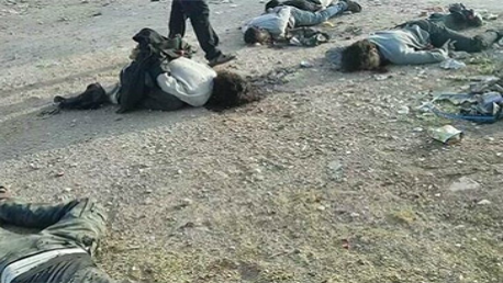 مقتل 11 شخصًا من داعش