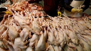 منوبة: حجز كميات هامة من اللحوم البيضاء غير صالحة للاستهلاك
