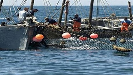 مراكب الصيد التونسية