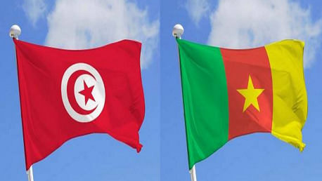 تونس و الكامرون