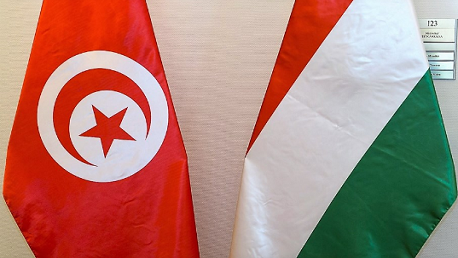 تونس المجر