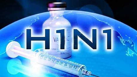 H1N1