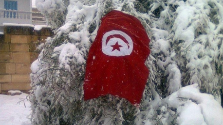 تونس قلوج