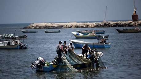 صيد غزة