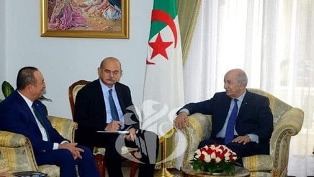 الجزائر وتركيا تتفقان على بذل كل الجهود لوقف إطلاق النار في ليبيا