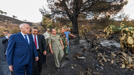 رئيس الجمهورية في زيارة إلى جبل عمدون من ولاية باجة 