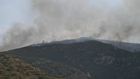 حريق جبل برقو