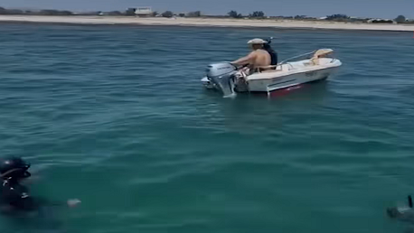 قليبية