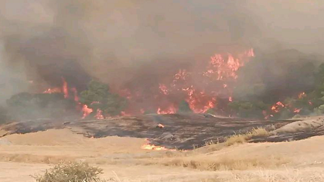 زغوان: السيطرة بنسبة 95 بالمائة على حريق المنطقة الغابية تليل الصالحي ـ الدبيديبة بالفحص