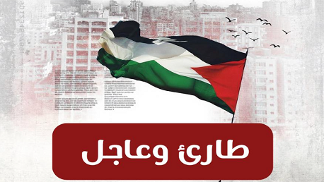 الكيان يعتقل نشطاء سفينتي ألما وسيروس من أسطول الصمود