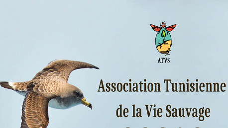 الجمعية التونسية للحياة البرية تُعلن إيقاف نشاطها مدّة شهر